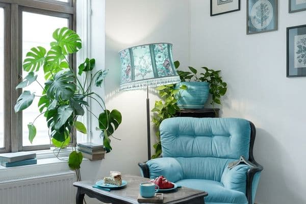 Aydınlık bir oda köşesinde mavi renkli konforlu bir berjer koltuk, yanında vintage tarzda lambader, geniş bir pencere önünde büyük yapraklı deve tabanı bitkisi ve sehpa üzerinde kahve ile tatlılar bulunan huzurlu bir terapi ortamı.